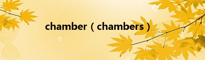chamber（chambers）