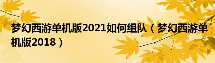 梦幻西游单机版2021如何组队（梦幻西游单机版2018）